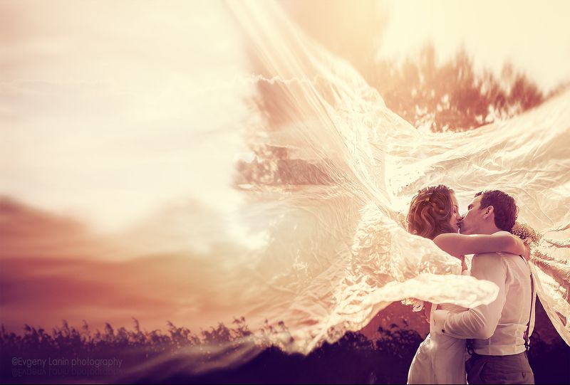 невеста, жених,фата, поцелуй Поцелуй фото превью