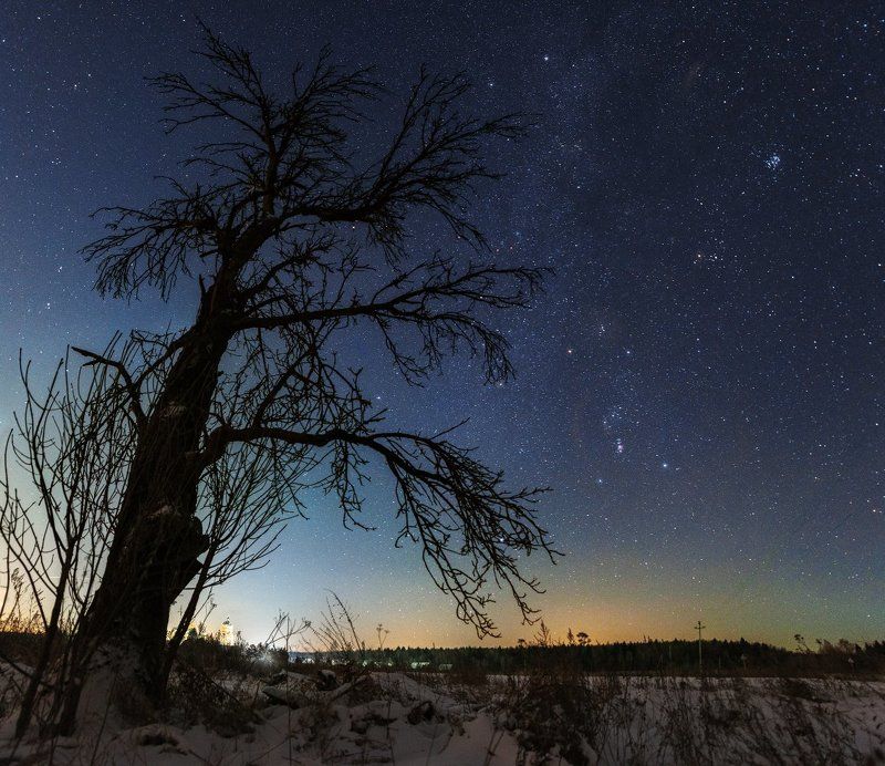 Космос, Плеяды, Орион, Созвездия В погоне Ориона за Плеядами фото превью