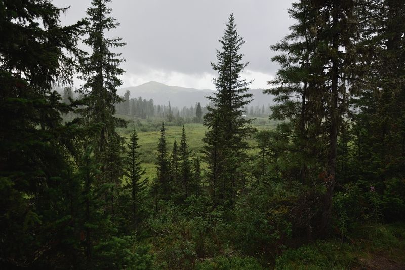 Взгляд сквозь фото превью