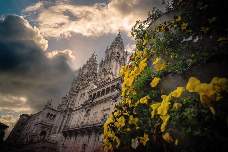 Compostela фото превью