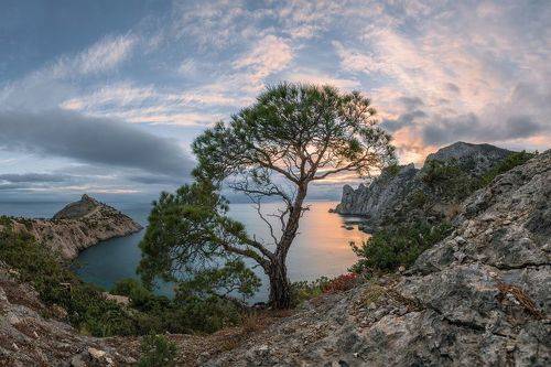 В тишине декабря