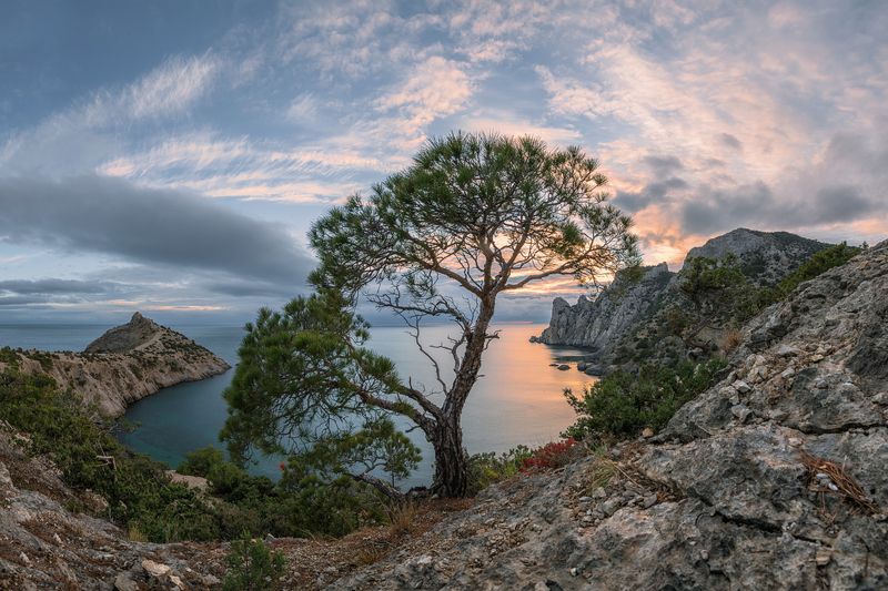 крым, новый свет, караул оба , вечер, декабрь В тишине декабря фото превью