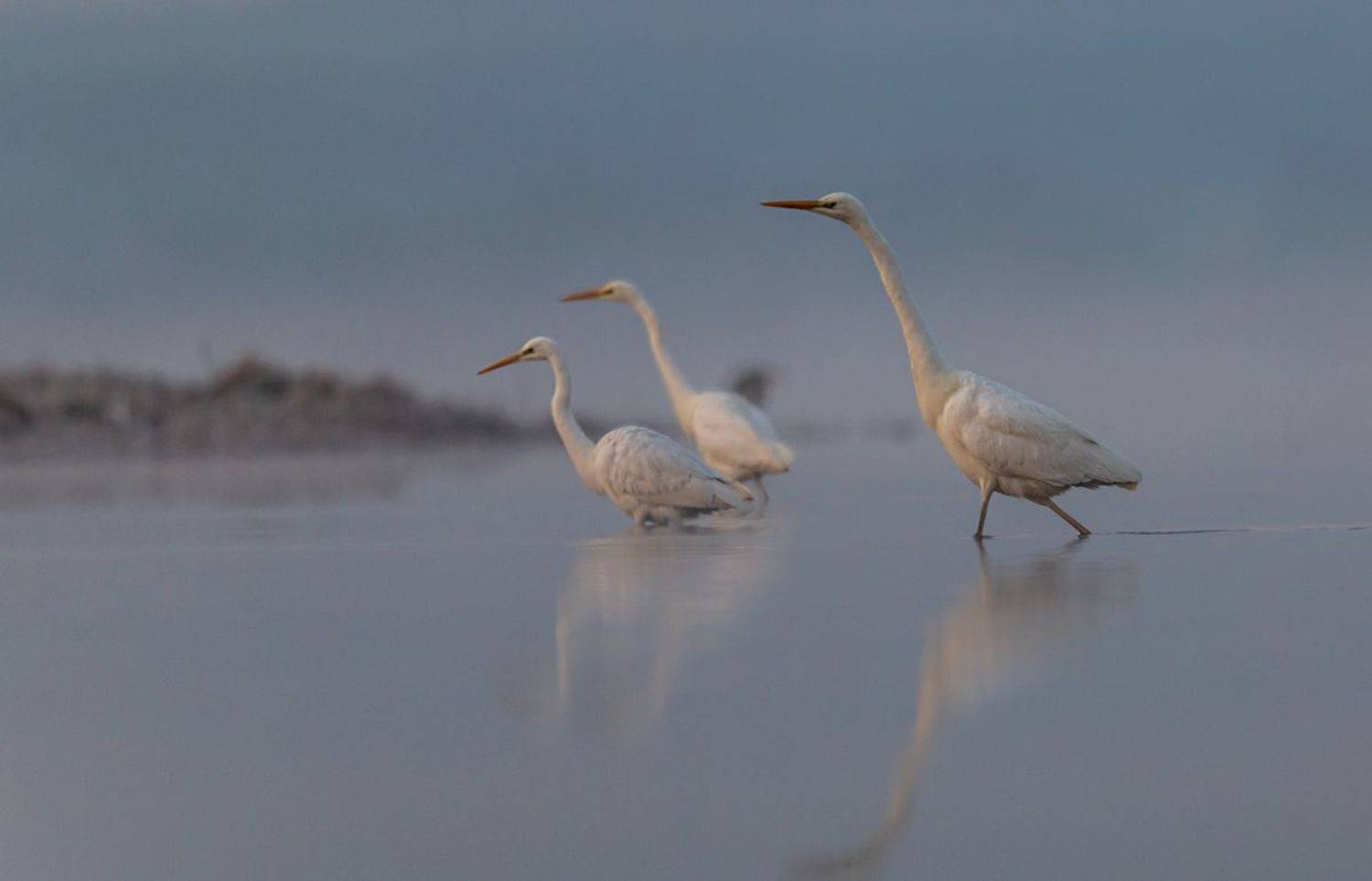 , Sławek Przybylski