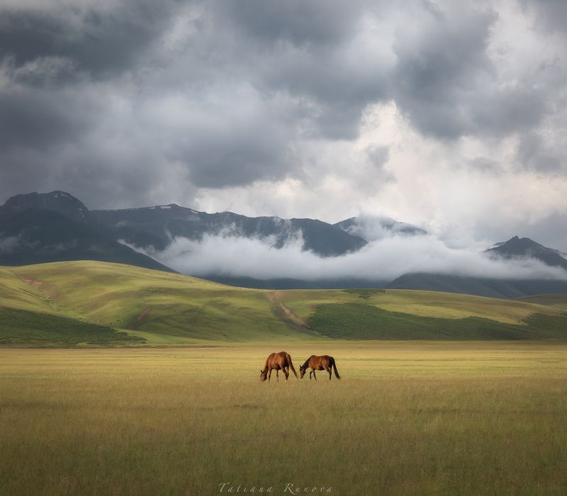 Хорошо, когда вместе, бок о бок, в любую погоду! фото превью