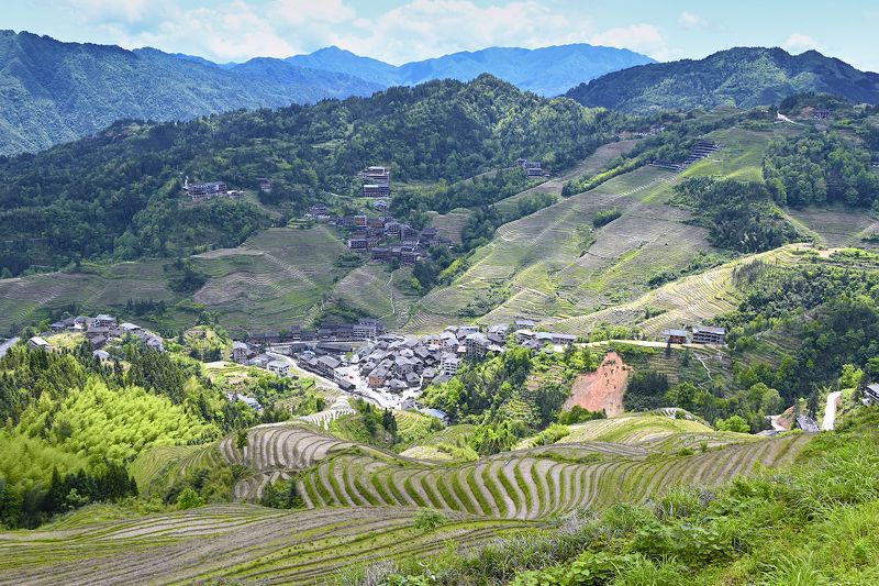 На рисовых террасах фото превью