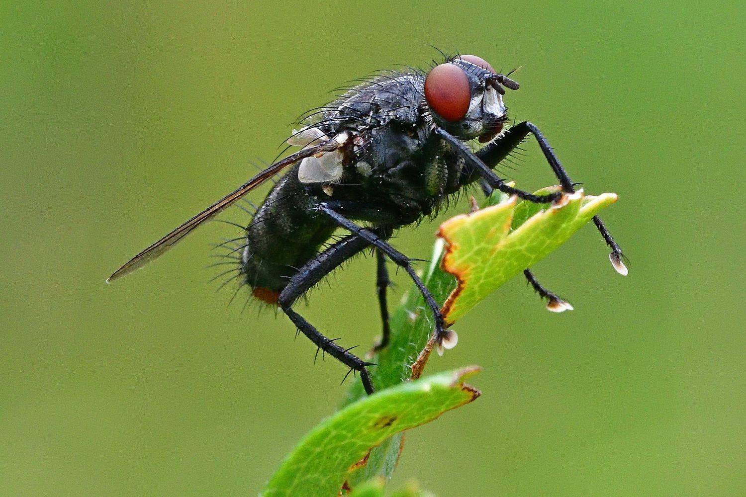 , Игорь Корнейчук