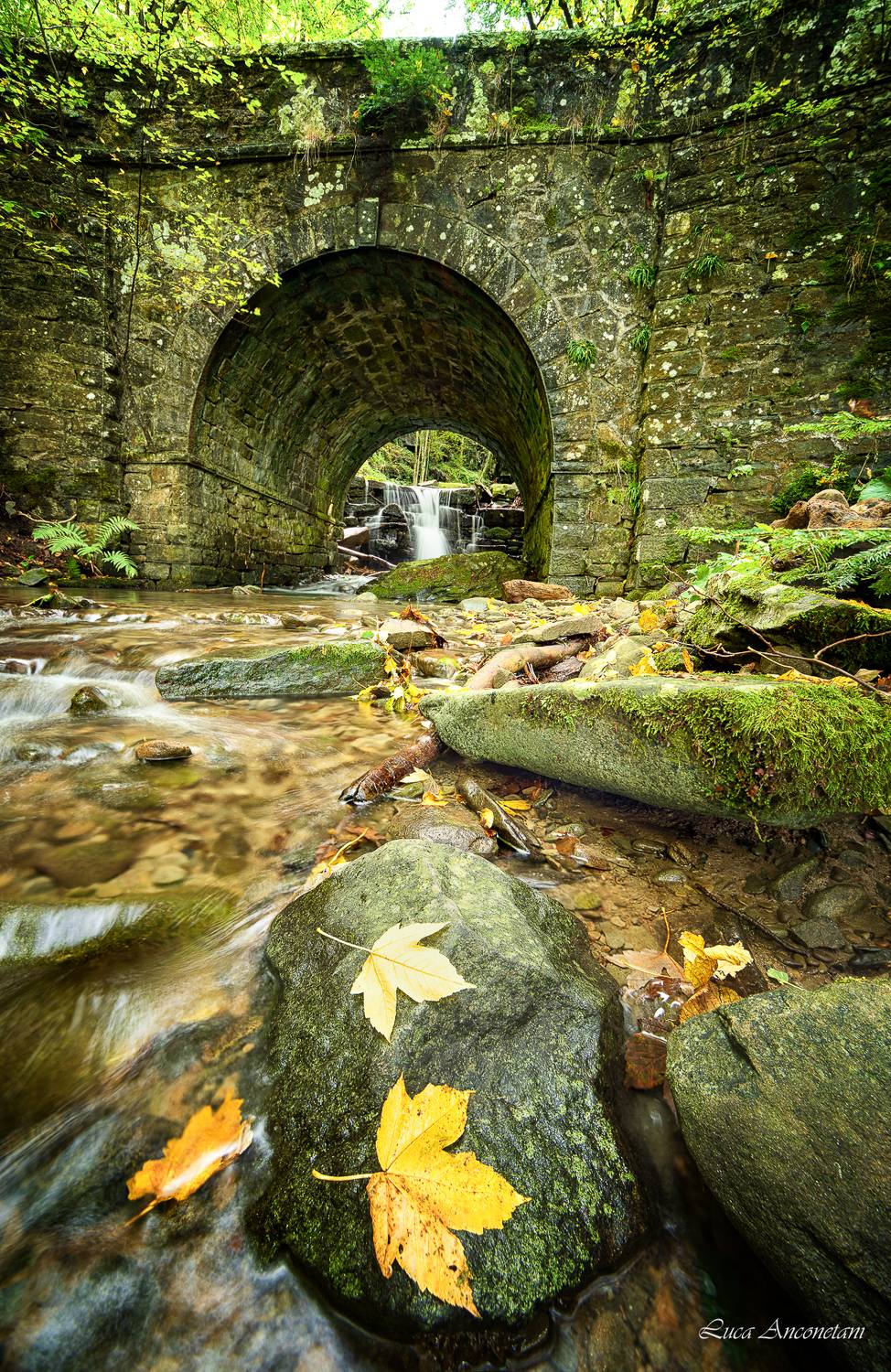 leaves tuscany autumn italy water stream nature, Anconetani Luca