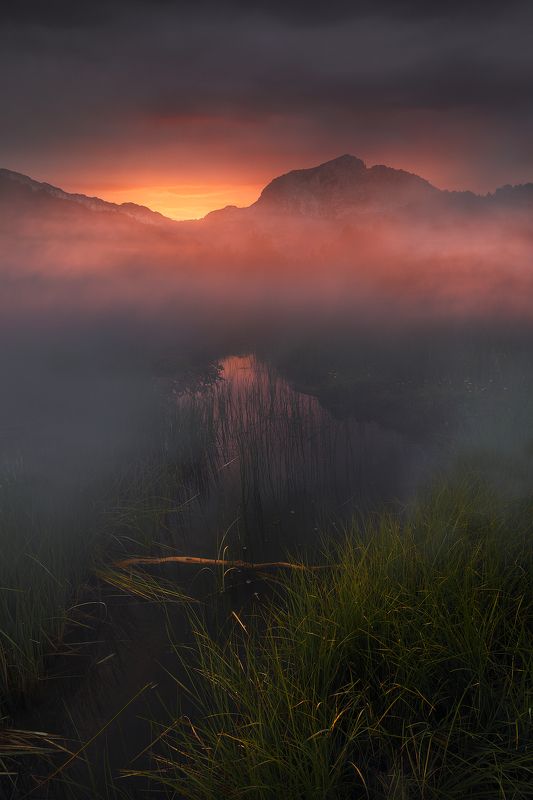 Место из моих снов фото превью
