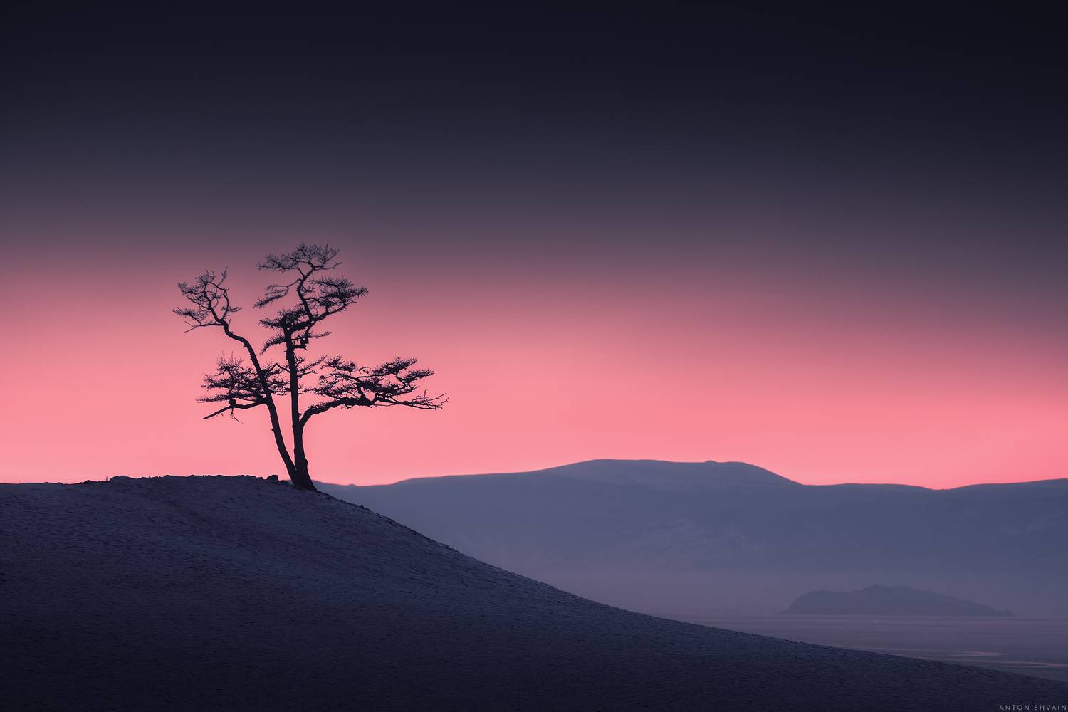 , Антон Шваин