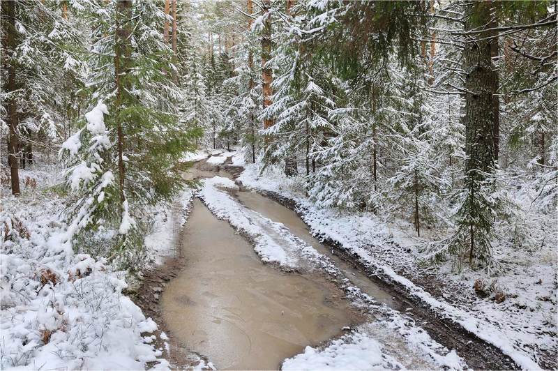 Начало зимы фото превью