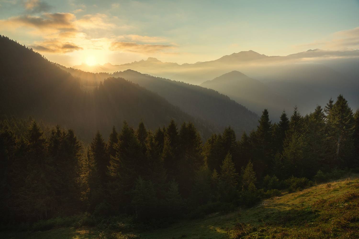 , Рагинская Ольга