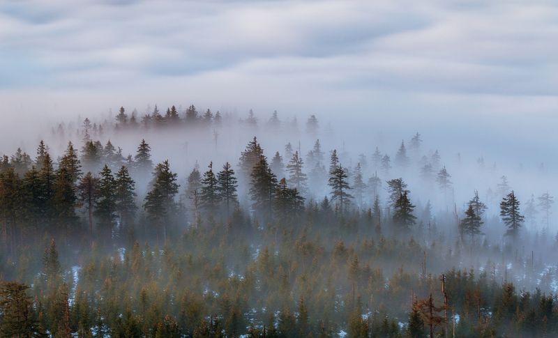 Low Inversion фото превью