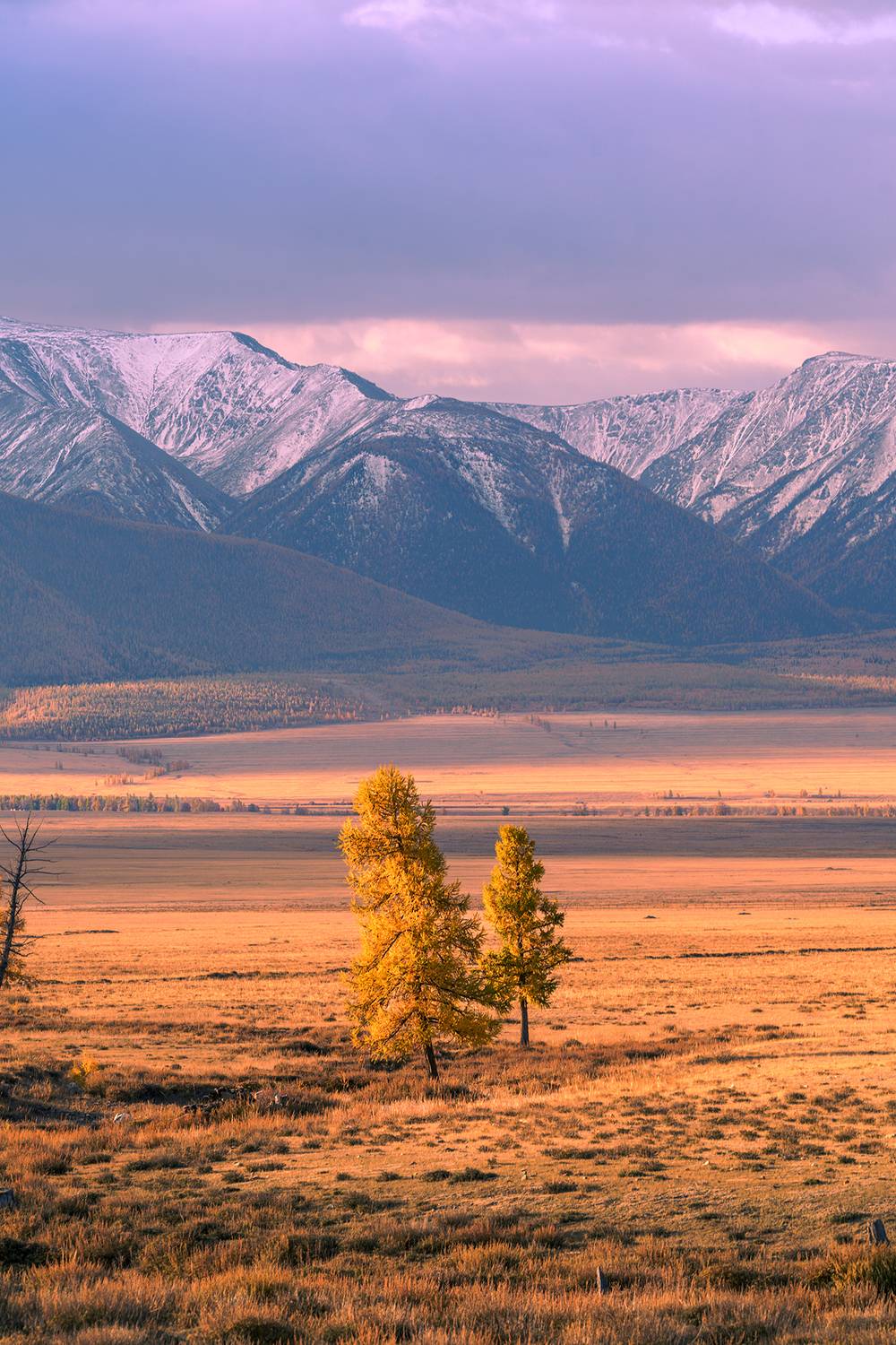 Алтай,Россия, пейзаж,осень, Лариса Дука