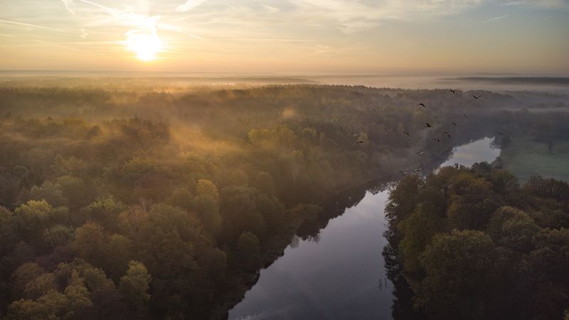 Poranek фото превью