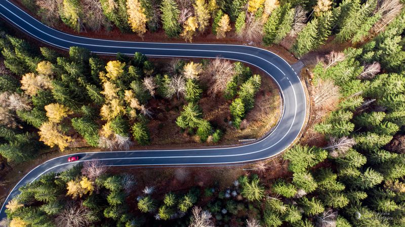 Zakręt фото превью