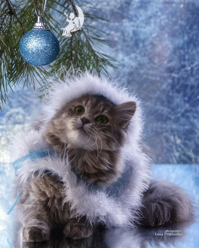 Снегурочка, ау! фото превью