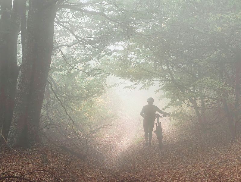 Крым Туманный подъём в гору фото превью