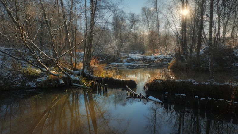 Солнце зимнего дня фото превью