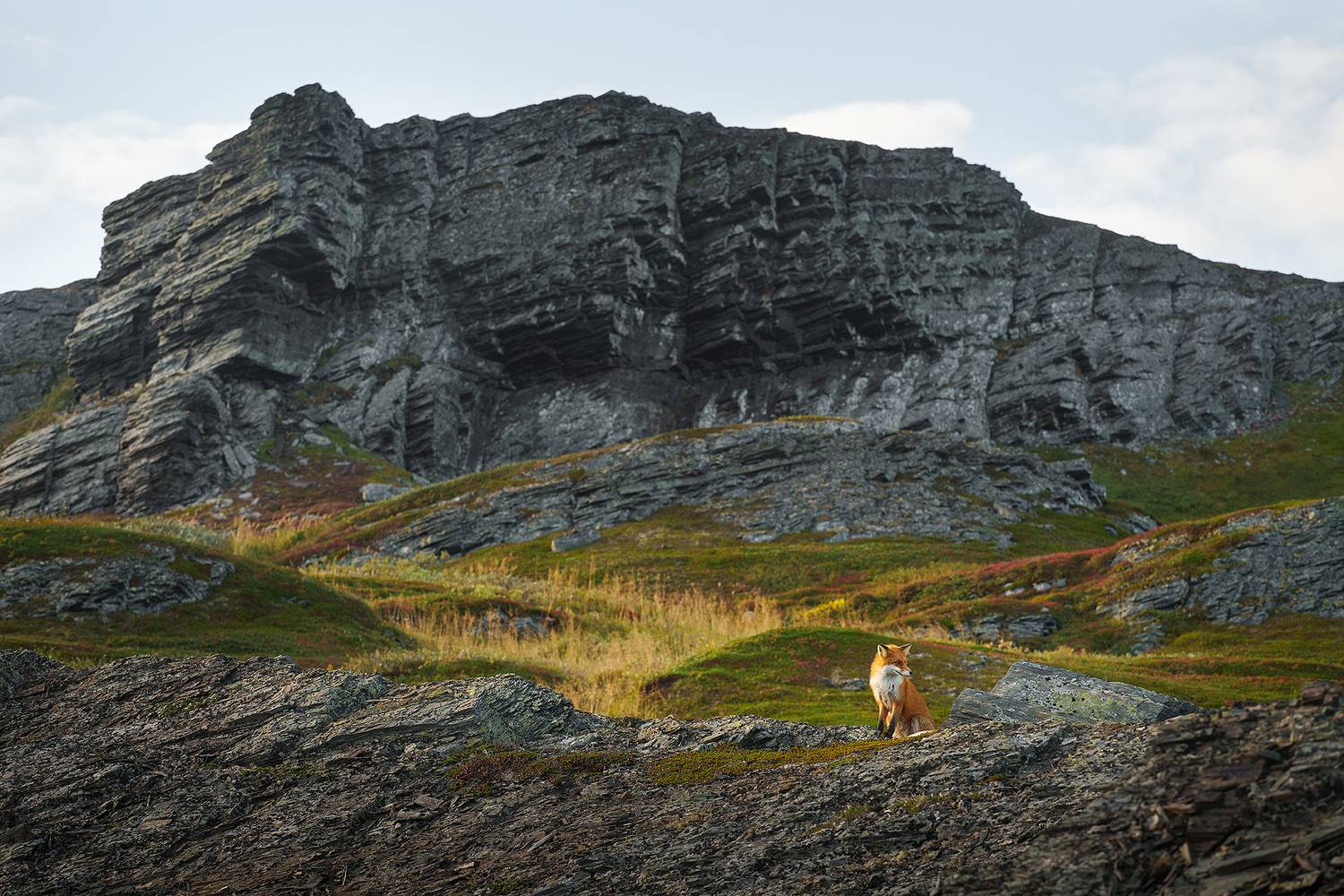 рыбачий, кольский, п-в рыбачий, северное сияние, море, баренцево, север, Нерозя Александр