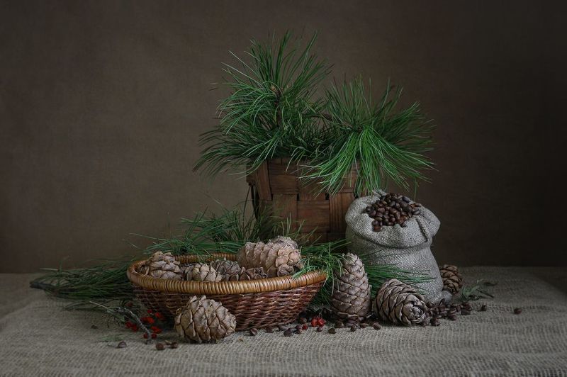 Дары таёжные фото превью