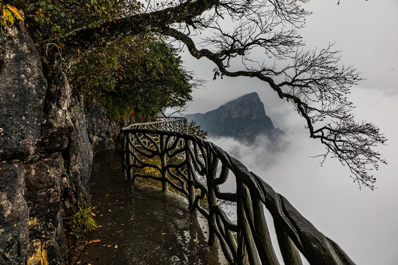 Китай. Туман. Горы. Дождь. Осень Парящие в облаках фото превью