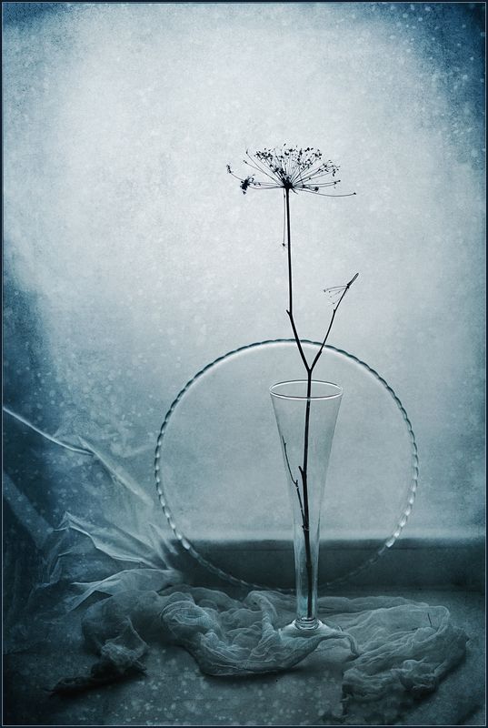 Метель.. фото превью