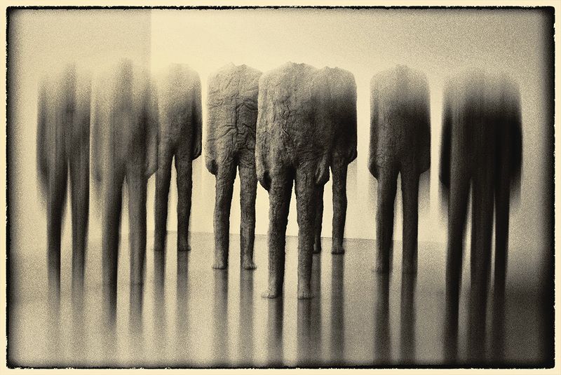 Музей Kampa - галерея современного искусства в Праге. фото превью