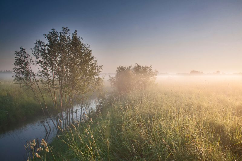 creek,fog,morning,summer Morning fog фото превью