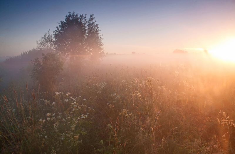 dawn,fog,field Behind the town фото превью