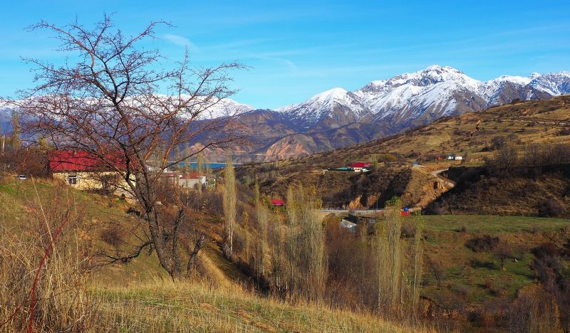 горы домик В горах Чимгана. фото превью