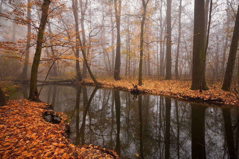 Autumn фото превью