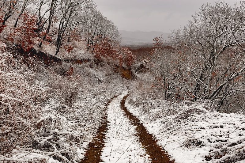 осень, приморье, горы, колея, скалы колея фото превью