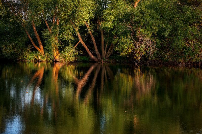 осень озеро закат берег Свет уходящего дня... фото превью