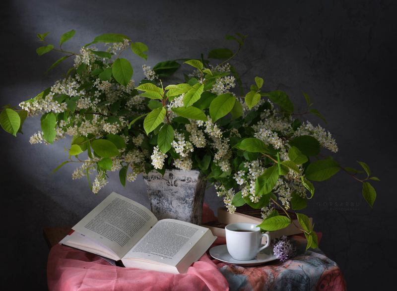 Lecture фото превью