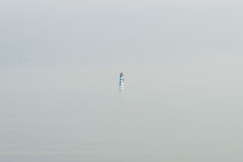 Ориентир. фото превью