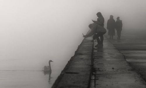 Туманная фотосессия.