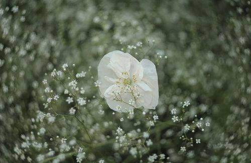 Белый танец