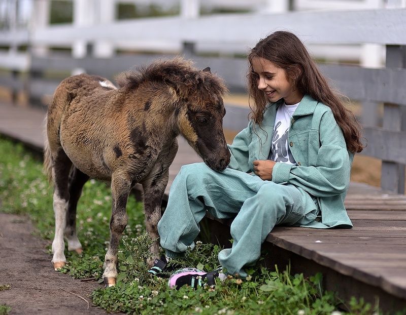 Дай вкусняшку! фото превью