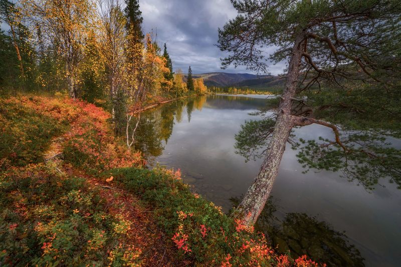 На озере Щучьем фото превью