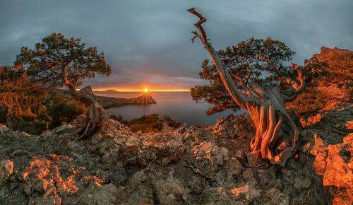 На рассвете в Новом Свете