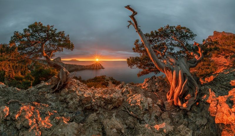 крым, новый свет, рассвет, декабрь На рассвете в Новом Свете фото превью