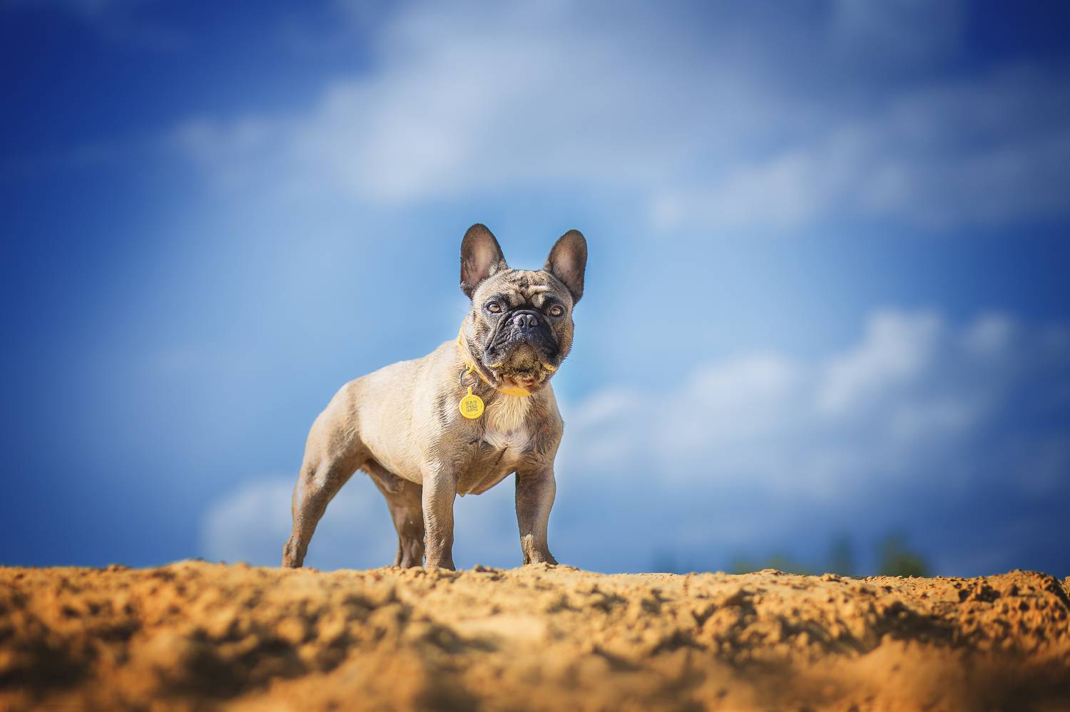 , Самусенкова Елена