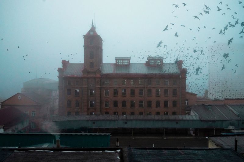 архитектура, туман, мельница, птицы, утро Туманное утро у мельницы фото превью