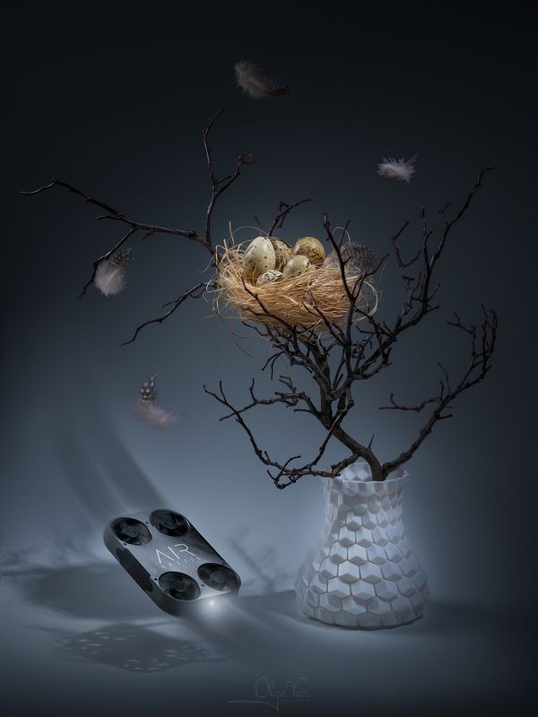 дрон, ваза, перья, яйца, гнездо, ветки Пролетая над... фото превью
