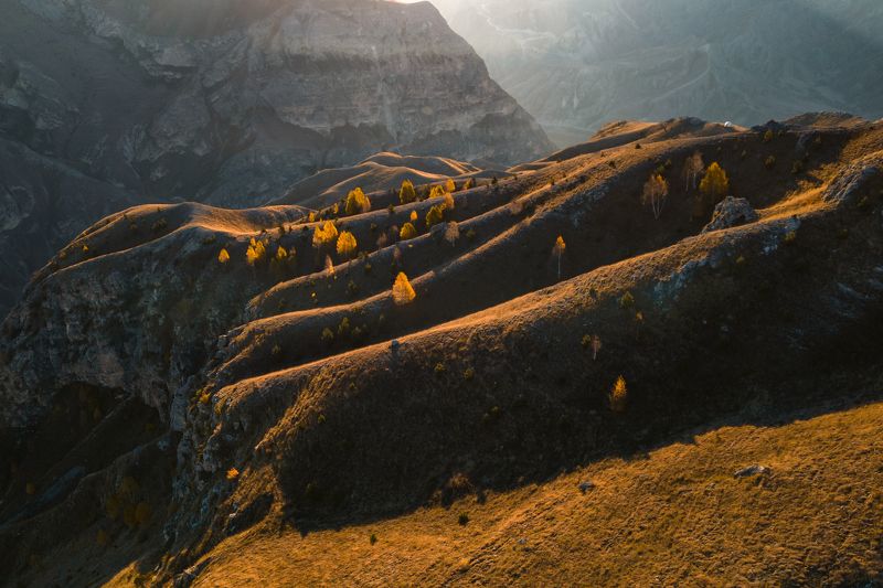 дагестан, осень, деревья, горы, пейзаж Золотая осень Дагестанских гор фото превью