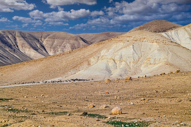 The Jordan Valley фото превью