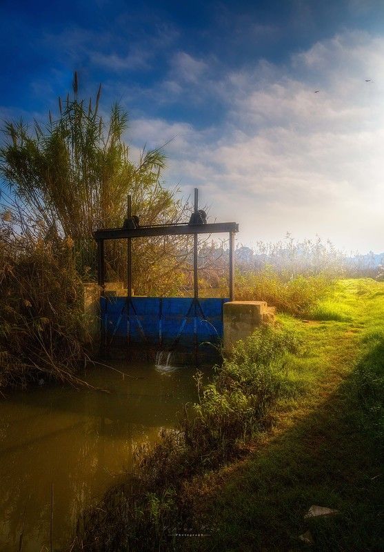 фото превью