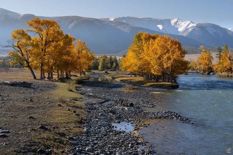 На берегу реки Чуя в Курайской степи фото превью