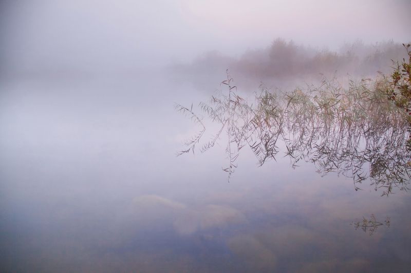 lake,fog,stones Fog over the lake фото превью