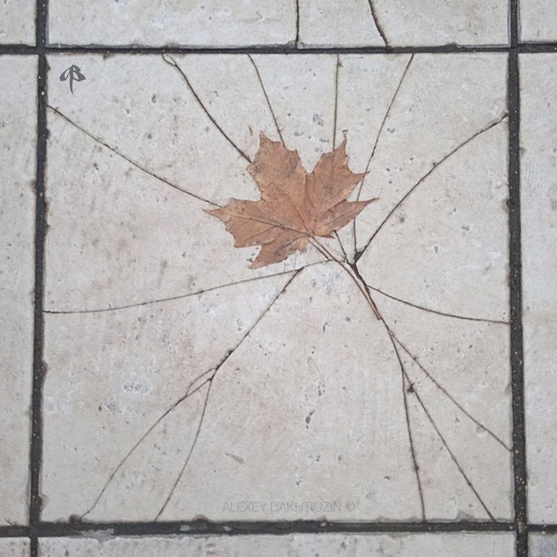 Нелёгкая осень фото превью